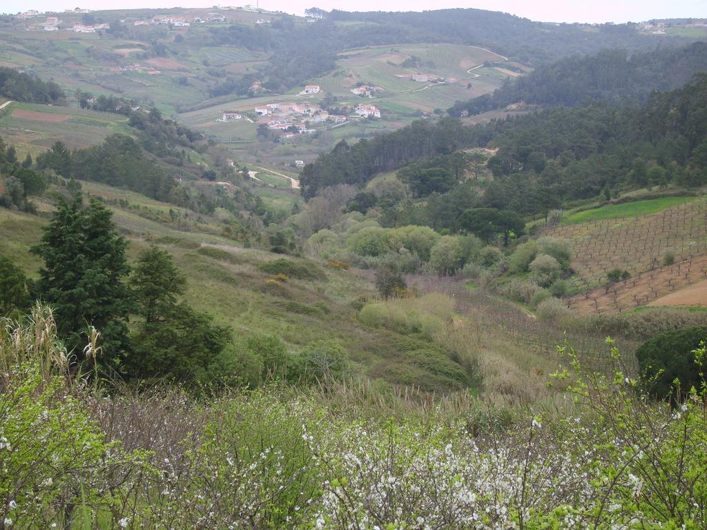Quinta Da Vida Serena Bed & Breakfast Alfeizerão Екстериор снимка